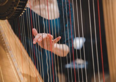 Hana Hrachovinová_HARFA & JAZYKY_DSC_7121